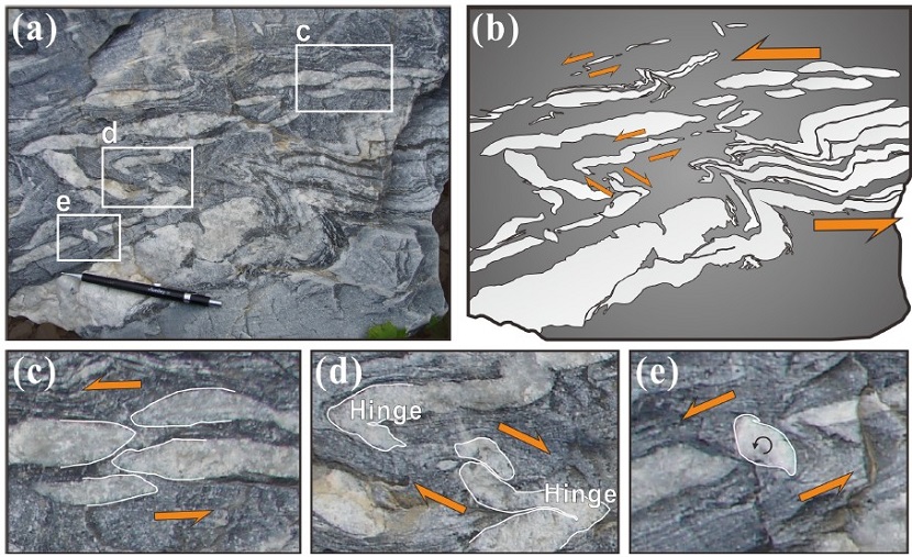 Fig. 4. Fig. 4.