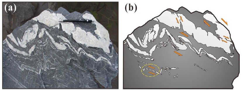 Fig. 5. Fig. 5.