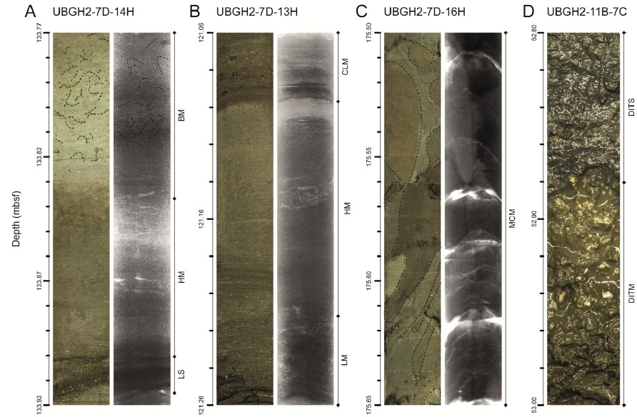 Fig. 7. Fig. 7.