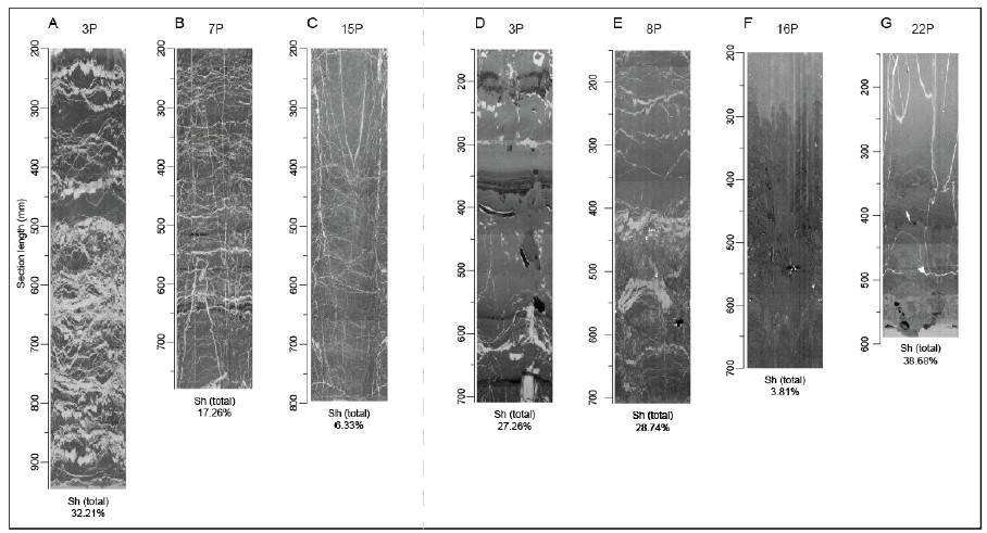 Fig. 9.