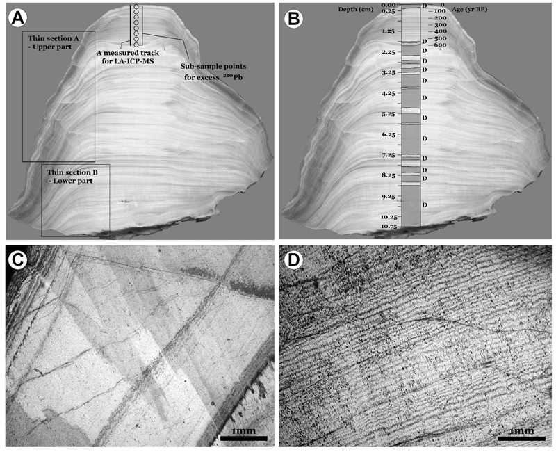 Fig. 2 Fig. 2