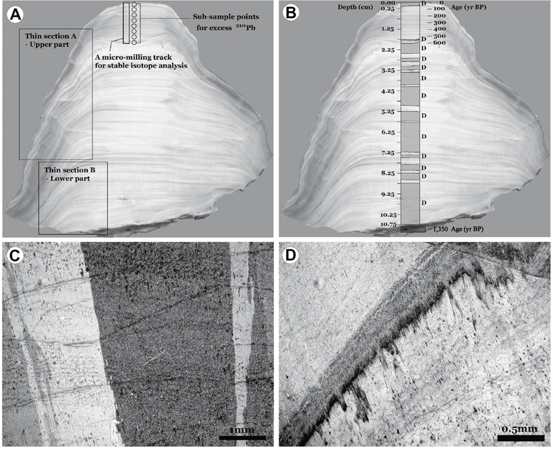 Fig. 2 Fig. 2