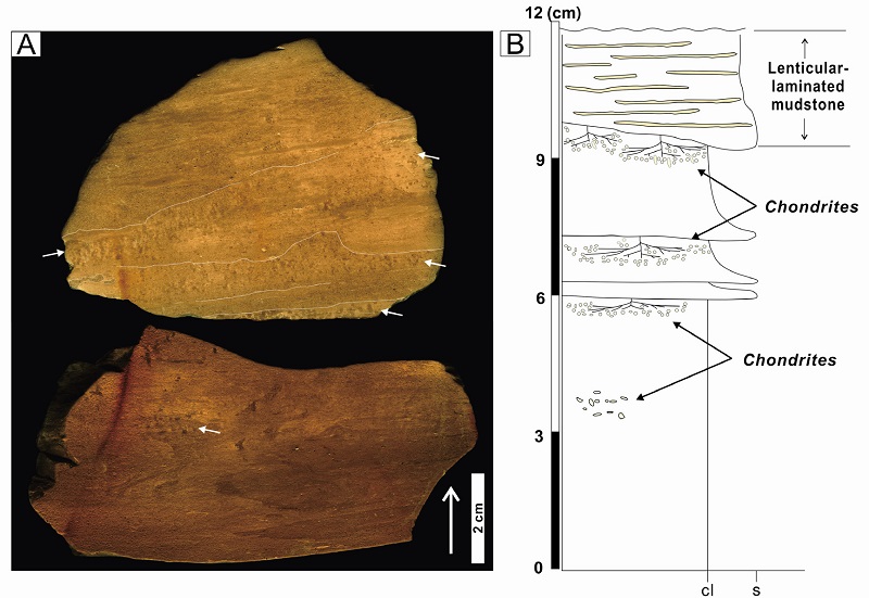 Fig. 4.