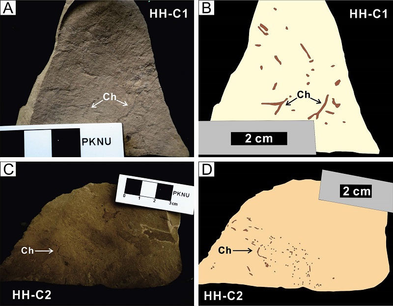 Fig. 5. Fig. 5.