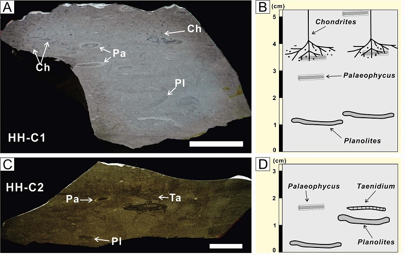 Fig. 6.