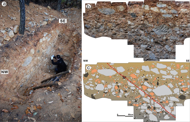 Fig. 4. Fig. 4.