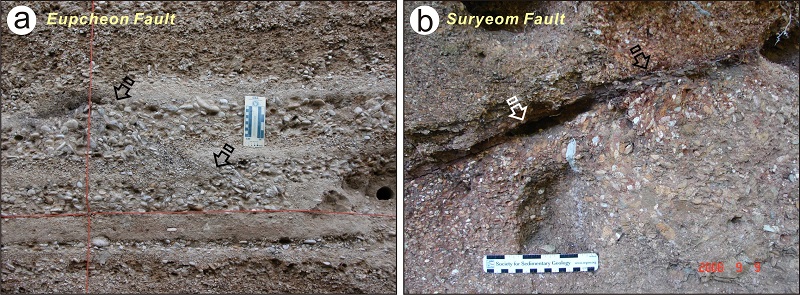 Fig. 5. Fig. 5.