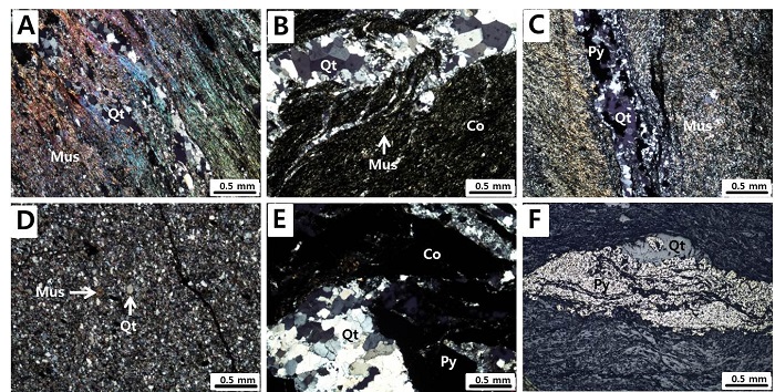 Fig. 3. Fig. 3.