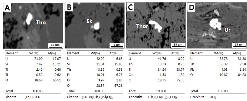 Fig. 4. Fig. 4.