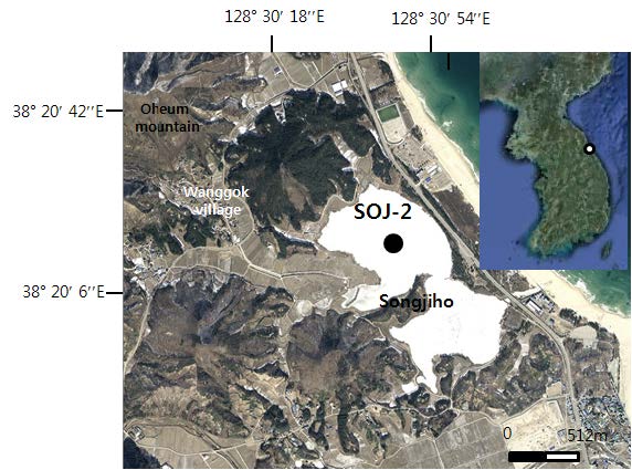 Fig. 1.