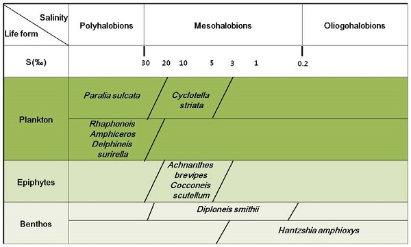 Fig. 3. Fig. 3.