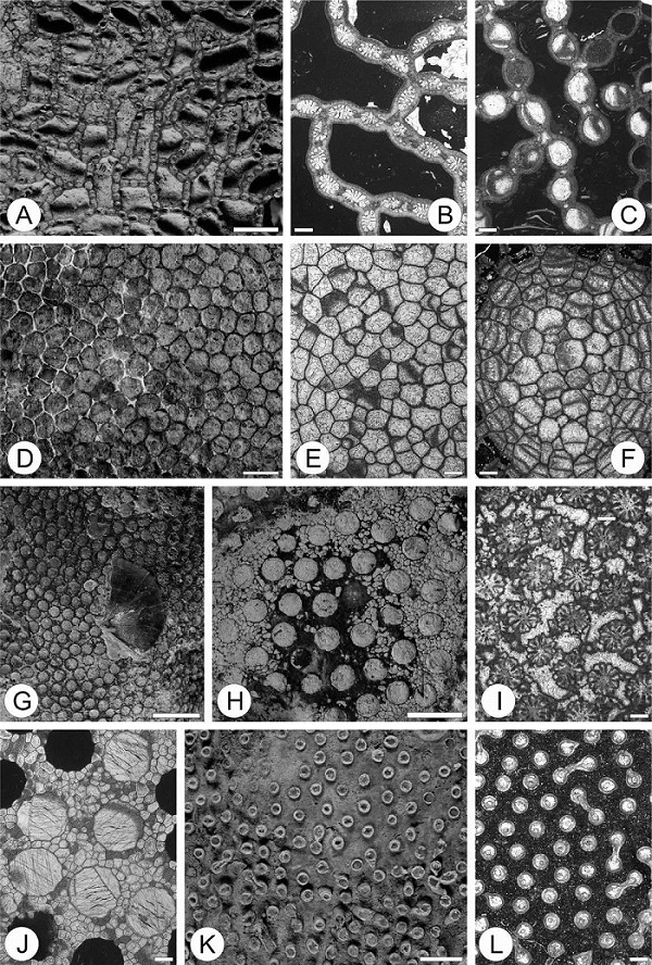 Fig. 2. Fig. 2.