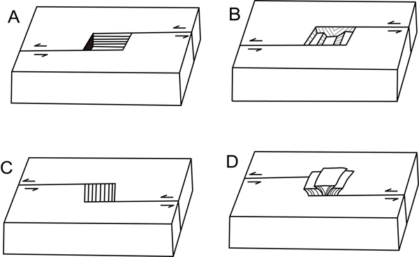 Fig. 3 Fig. 3