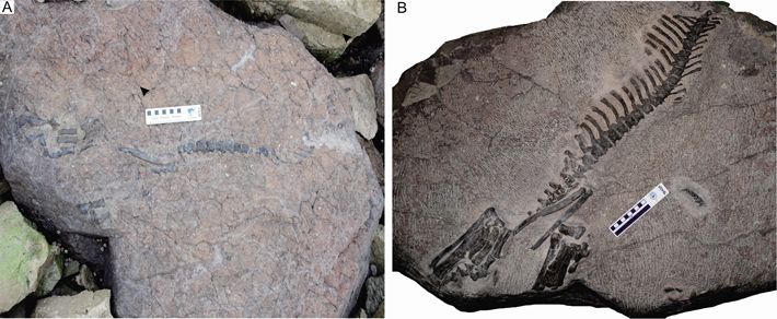 Fig. 12 Fig. 12