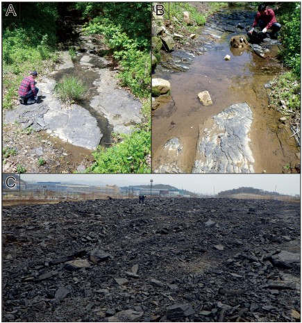 Fig. 2. Fig. 2.
