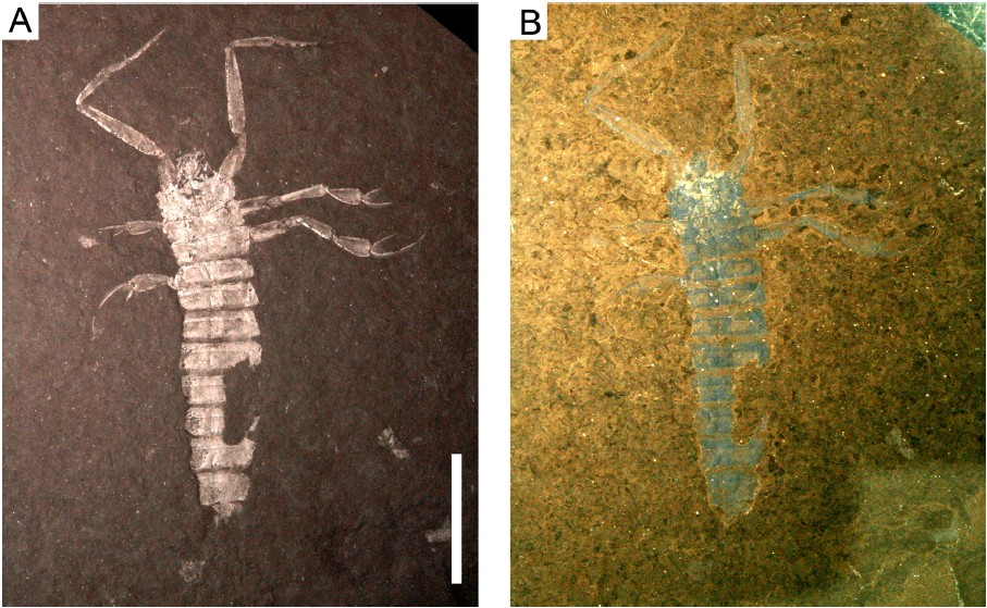 Fig. 3.