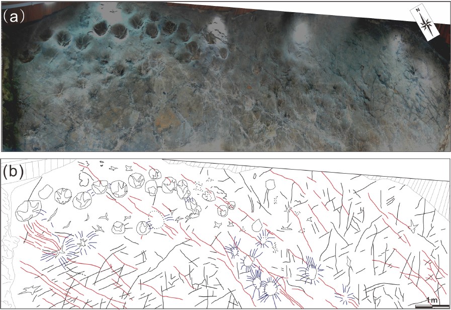 Fig. 2. Fig. 2.
