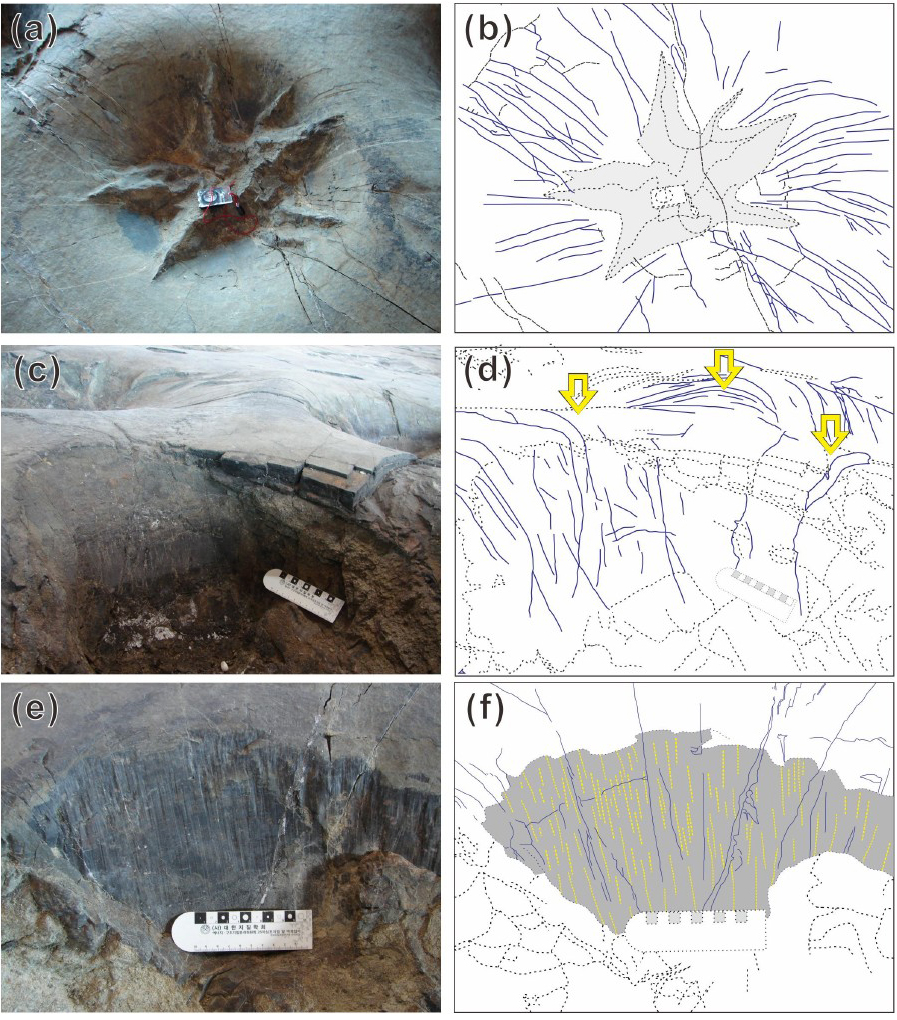 Fig. 3. Fig. 3.