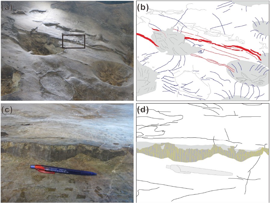 Fig. 6. Fig. 6.