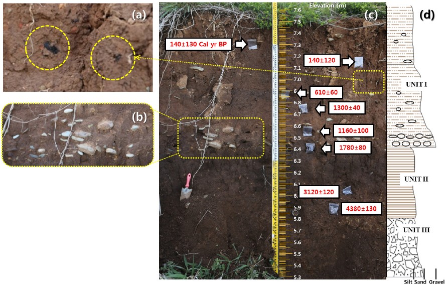 Fig. 3. Fig. 3.