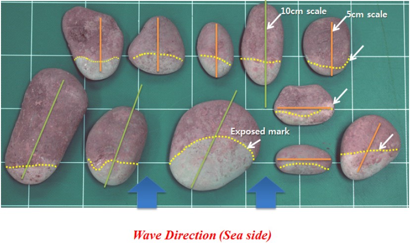 Fig. 4. Fig. 4.
