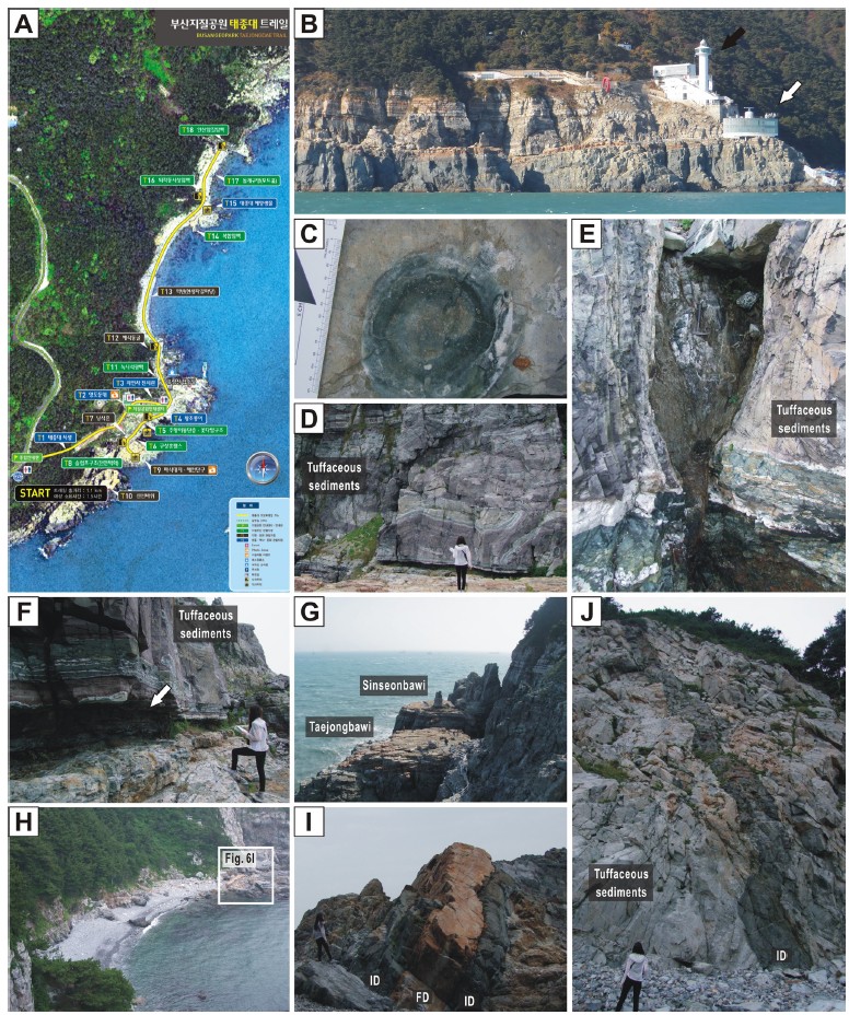 Fig. 6. Fig. 6.