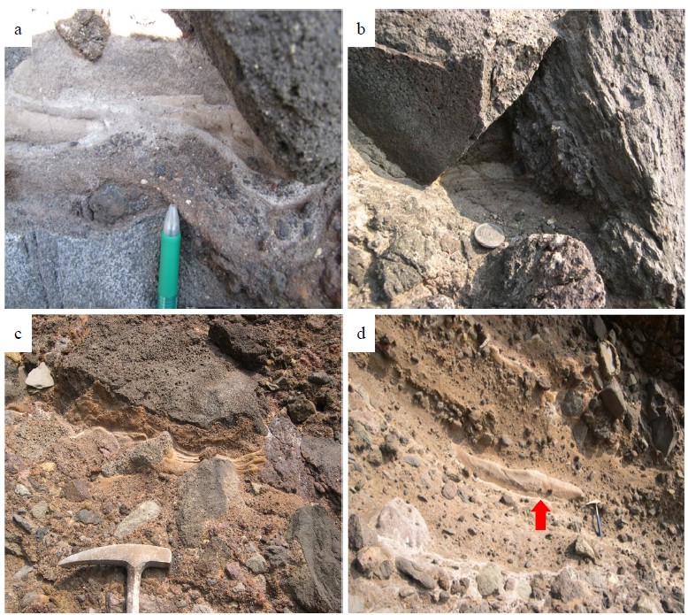 Fig. 6.