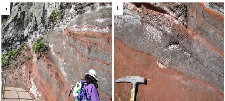 Fig. 7.