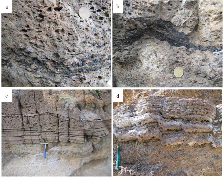 Fig. 8. Fig. 8.