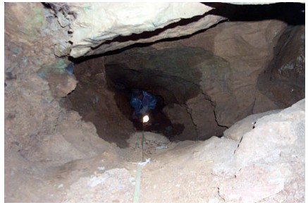 Fig. 3.