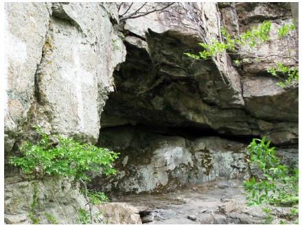 Fig. 12.