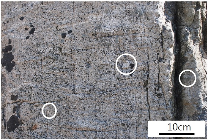 Fig. 14.