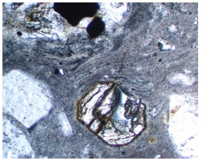 Fig. 16.