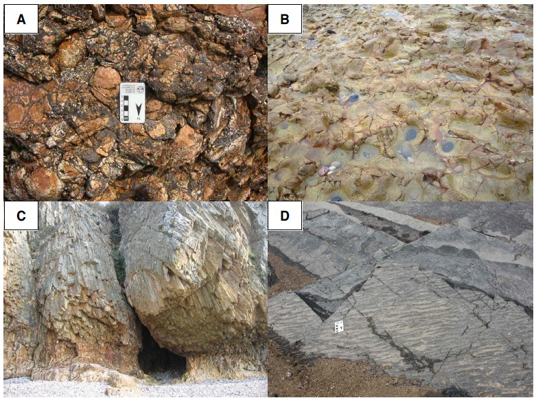 Fig. 2. Fig. 2.