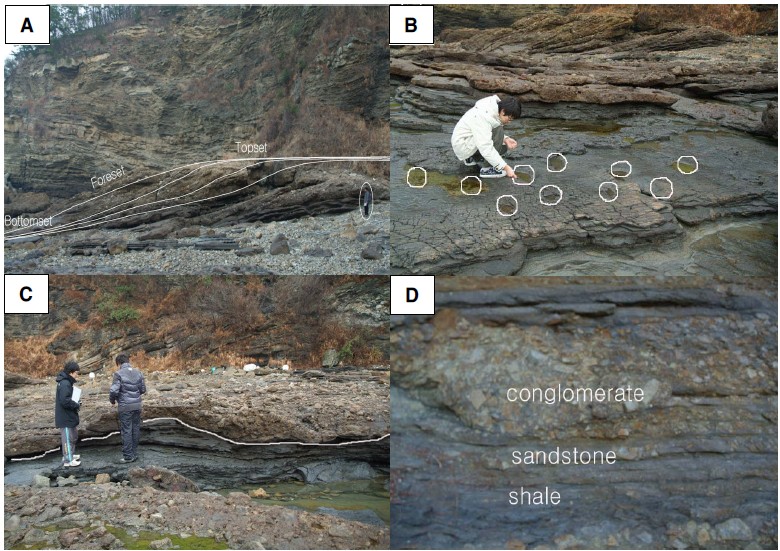 Fig. 6. Fig. 6.
