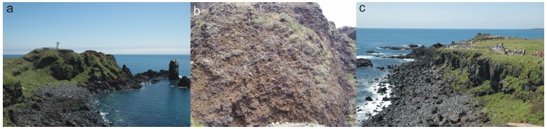 Fig. 11.