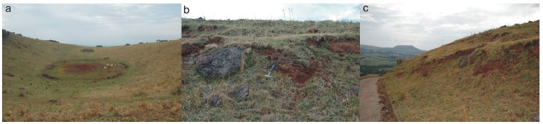 Fig. 13.