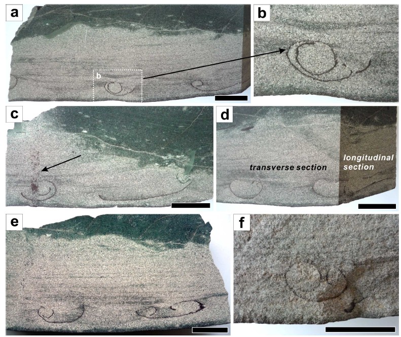 Fig. 3. Fig. 3.
