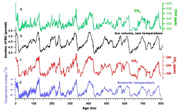 Fig. 4. Fig. 4.