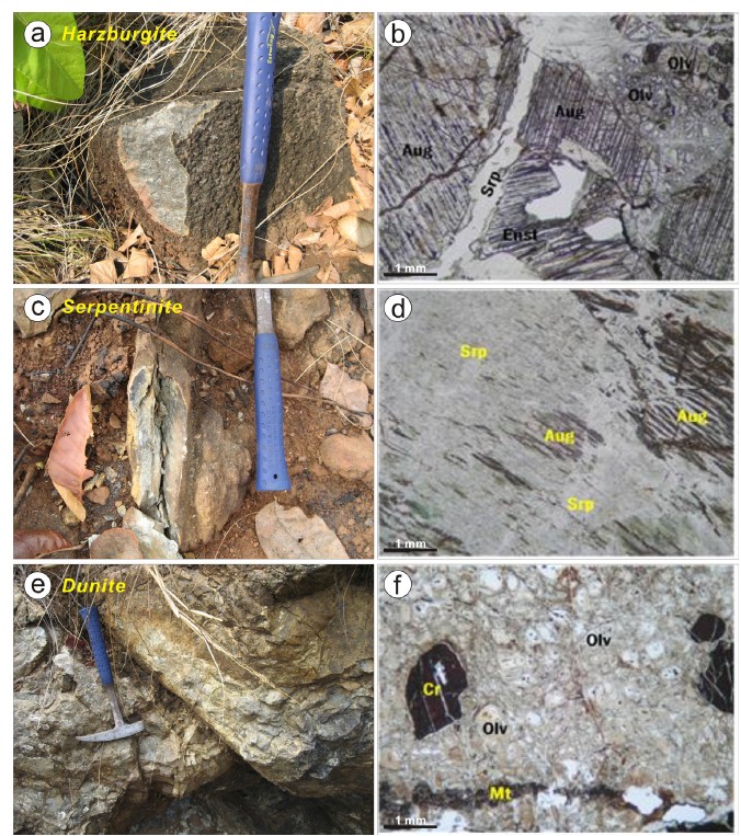Fig. 3. Fig. 3.