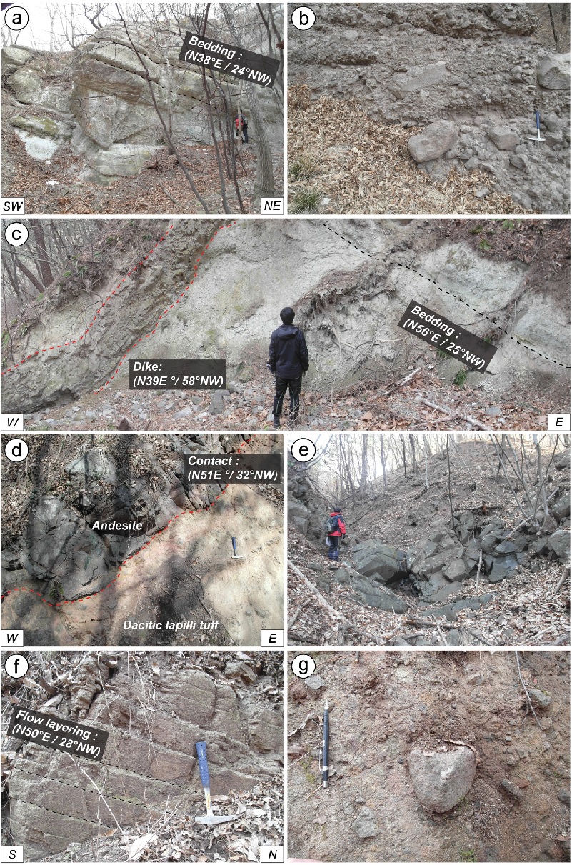 Fig. 4. Fig. 4.