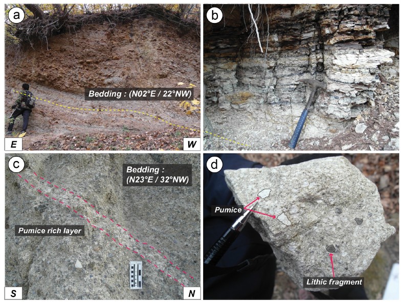Fig. 6. Fig. 6.