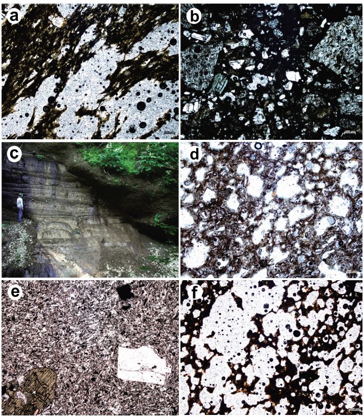 Fig. 2. Fig. 2.