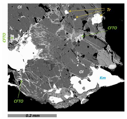 Fig. 1. Fig. 1.