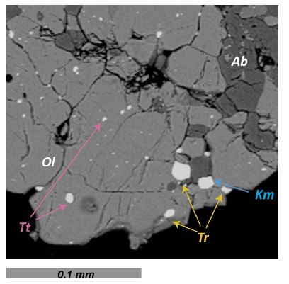 Fig. 4. Fig. 4.
