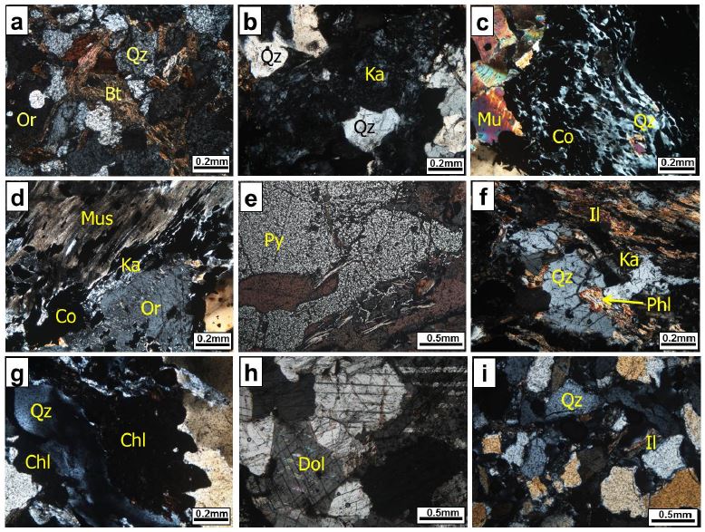 Fig. 3. Fig. 3.