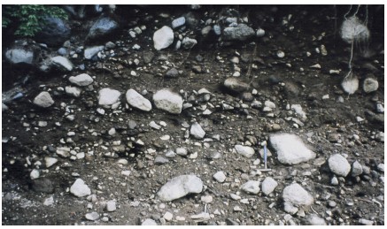 Fig. 4. Fig. 4.