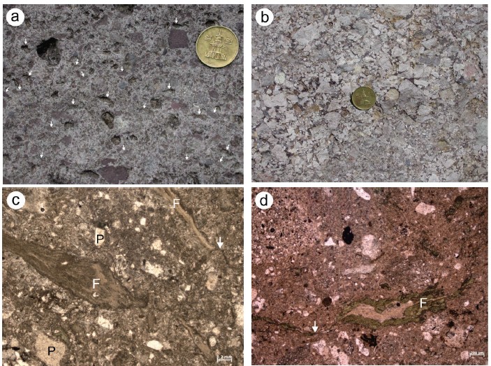 Fig. 2. Fig. 2.