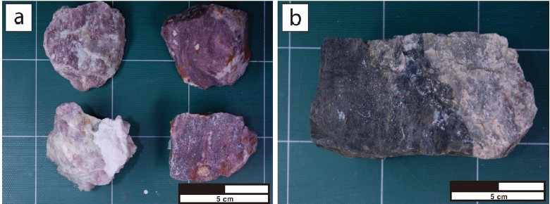 Fig. 3. Fig. 3.