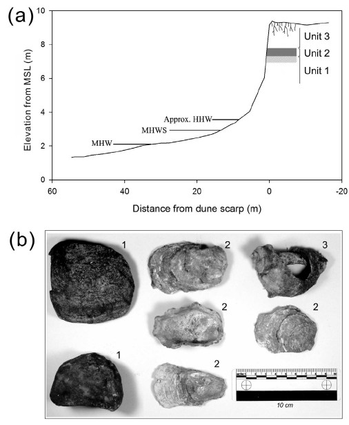 Fig. 3. Fig. 3.
